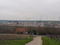 Alzey, Pharmaindustrie